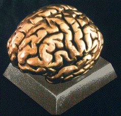 A BRONZE BRAIN!!!